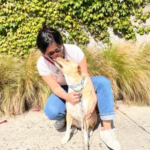 Meet your Posher, Jules